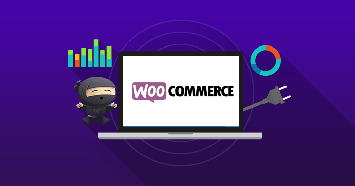 Wordpress Woocommerce SEO Nasıl Yapılır